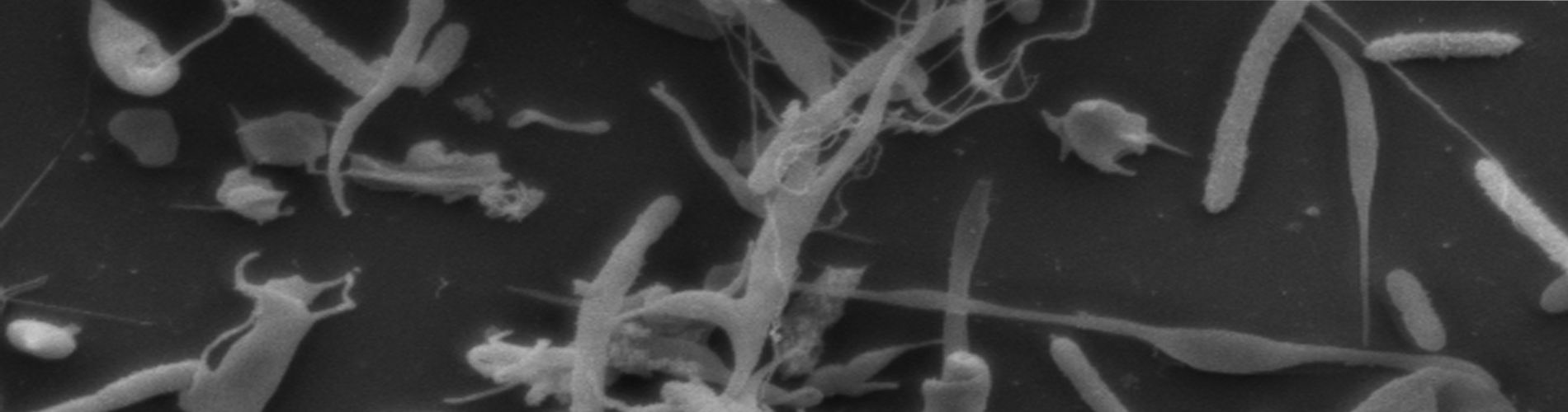 9 Koupenova Home Slider