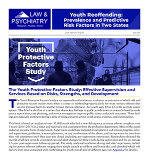 thumbnail of the brief