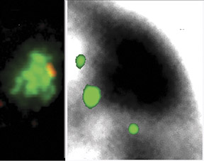 Green Barr Body Panel Green Barr Body Panel