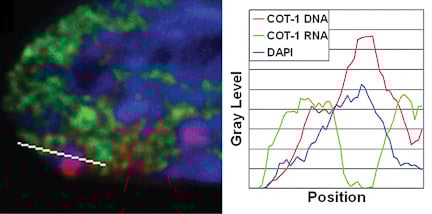 line scan image Graph line scan image Graph