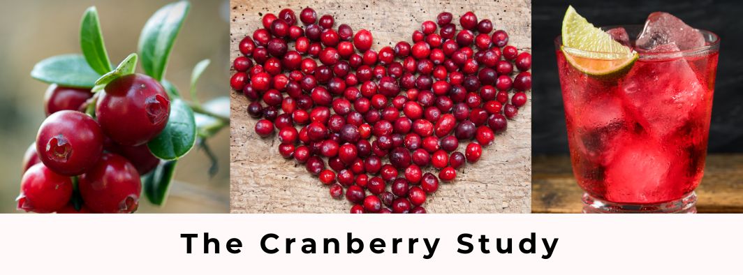 The Cranberry Stuy