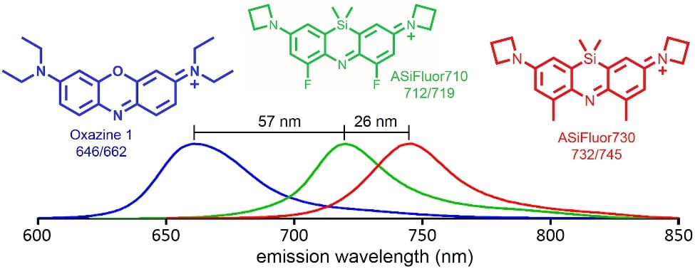 Fluorescent probes beyond the visible range Fluorescent probes beyond the visible range