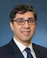 Fahid Hamzei-Sichani, MD, PhD
