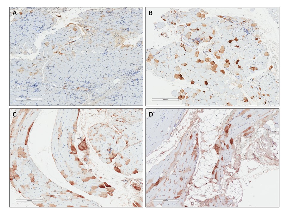 5year fig2 5year fig2