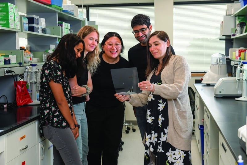 Spinelli_landing page.jpg