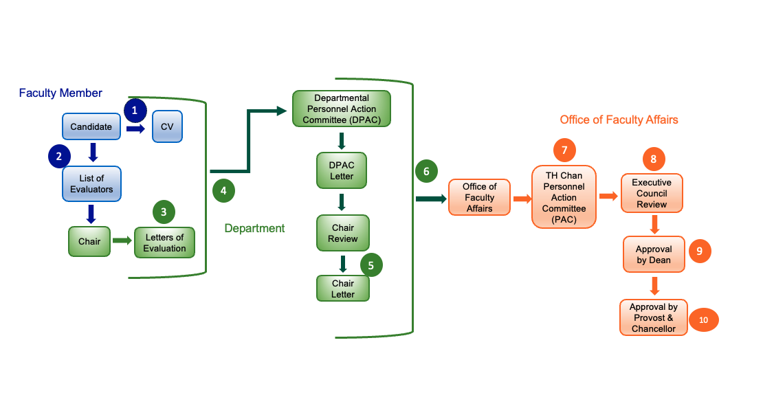 faculty appointment process for T.H. Chan School of Medicine