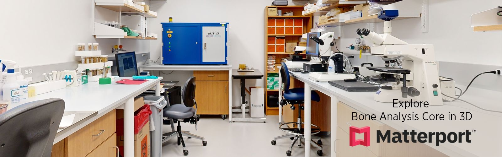 Bone-Core slide updated 9-2024.png