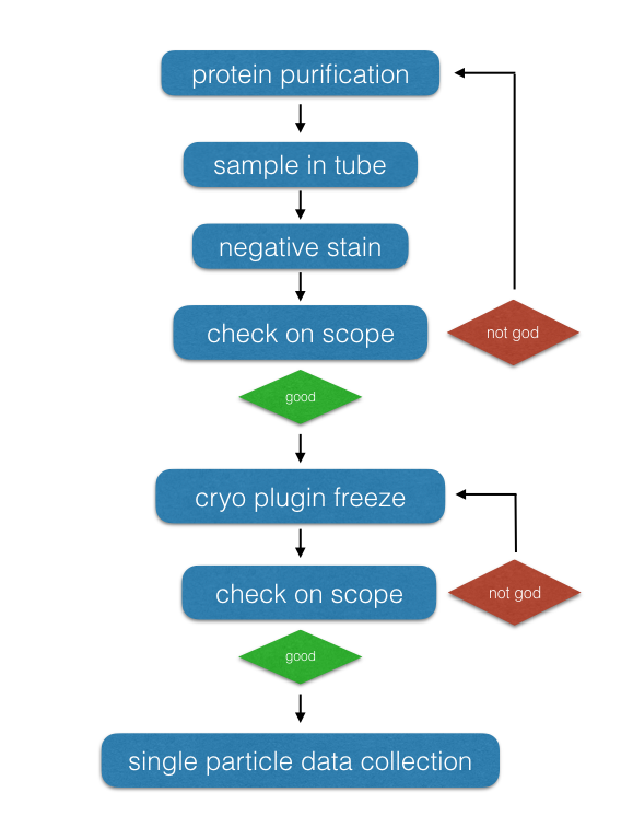 cryo grid prep pipeline single particle cryo grid prep pipeline single particle