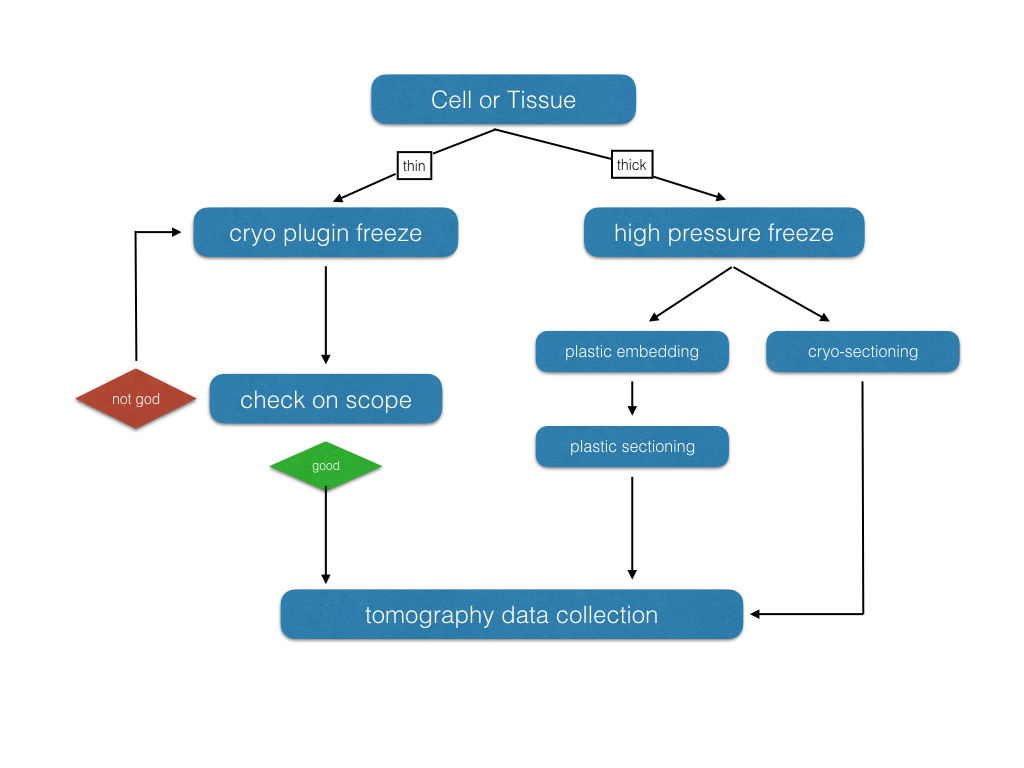 cryo grid prep pipeline tomo cryo grid prep pipeline tomo