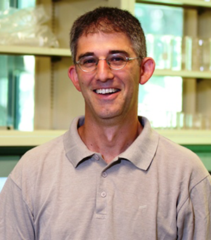 Paul Greer selected for NIH Director’s New Innovator Award