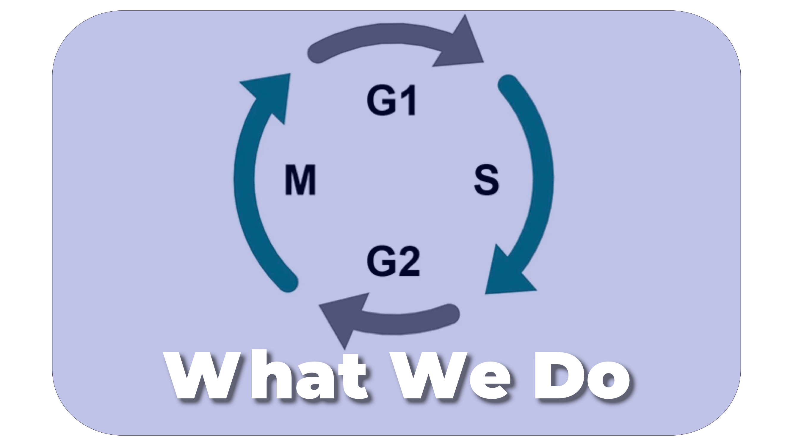  what we do_pryciak.png