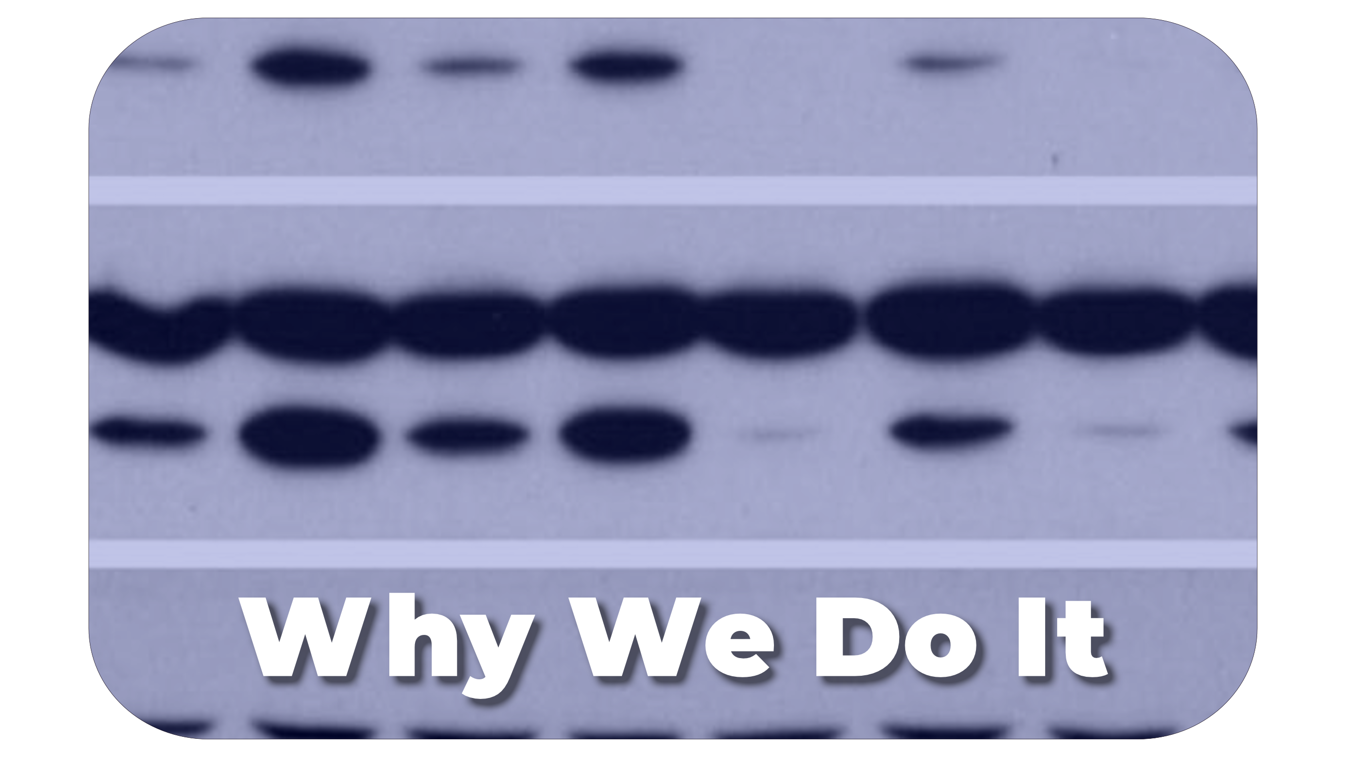  why we do it_pryciak.png