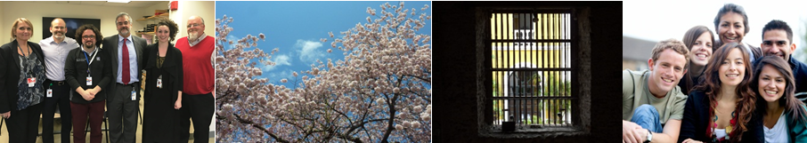 This a triptych photo of professors, blossoming tree, a window and smiling people