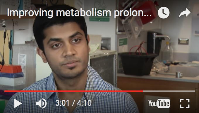 Authors take on the role of mTORC1 in cone survival