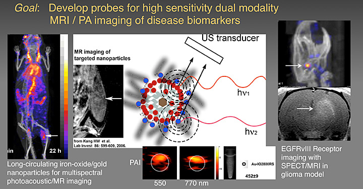 MR Signal Amplfication for Receptor Imaging MR Signal Amplfication for Receptor Imaging