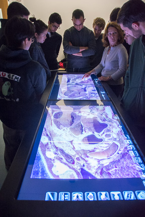 Anne Gilroy with medical students at Anatomage Table Anatomage Table
