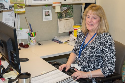 Deborah Serafini Radiology Coder, UMMHC Deborah Serafini Radiology Coder, UMMHC