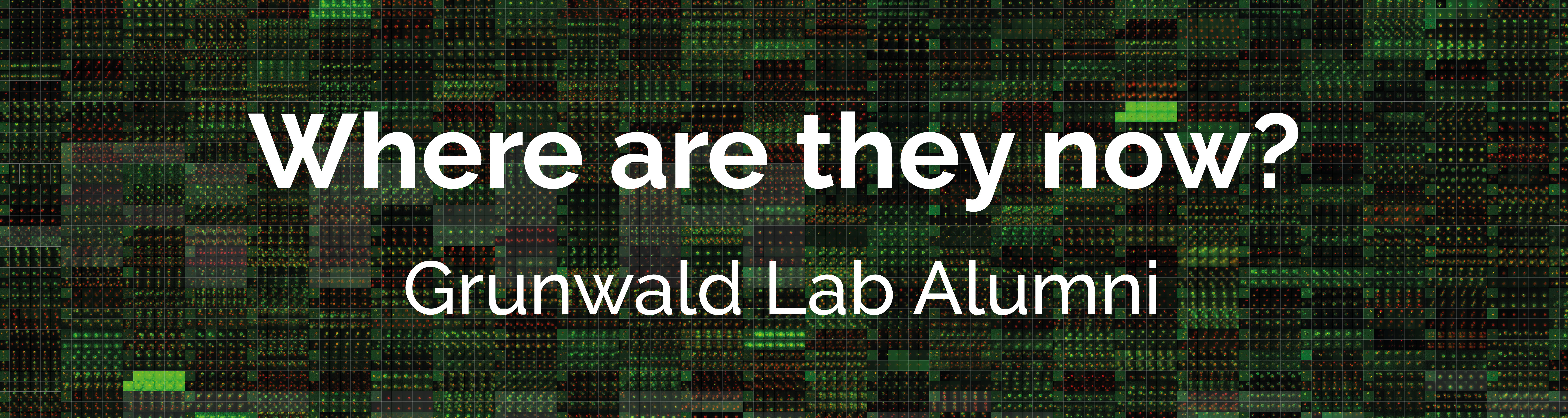 1500x400 Grunwald Banner .jpg