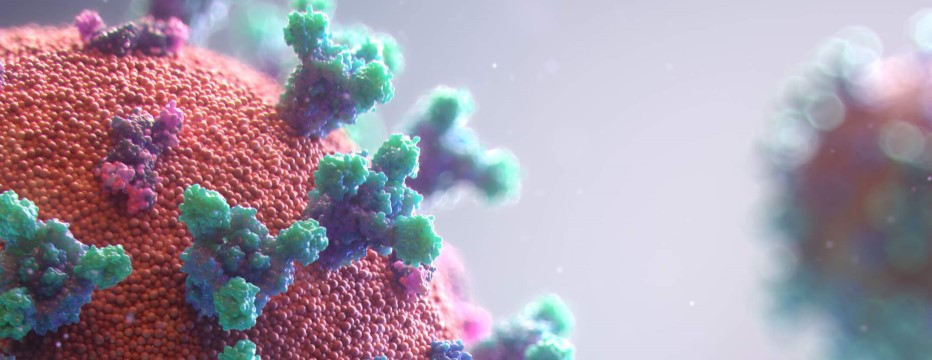 covid 19 header 930x360.jpg