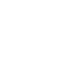 bluesky logo butterfly