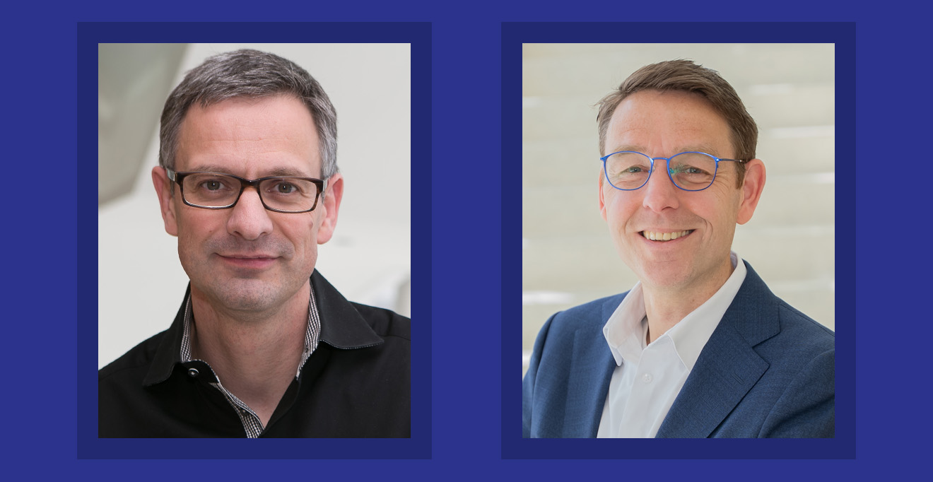 UMass Chan scientist co-leads study identifying simple rules for folding the genome