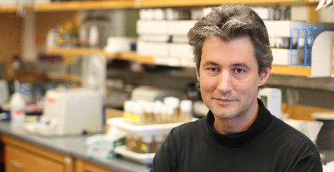 Patrick Emery explains importance of circadian rhythm discoveries by 2017 Medicine Nobel Laureates