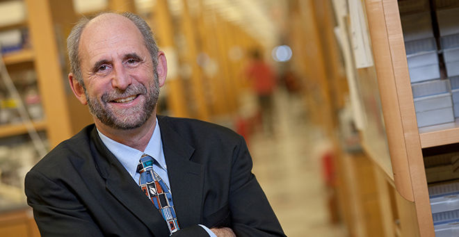 UMass Chan Medical School statement about Michael Green