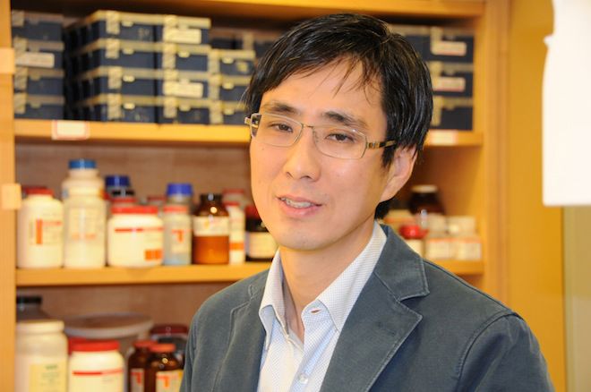 Jun Huh named Searle Scholar for research on innate immunity