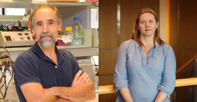 Richter, Fitzgerald named to newly endowed chairs