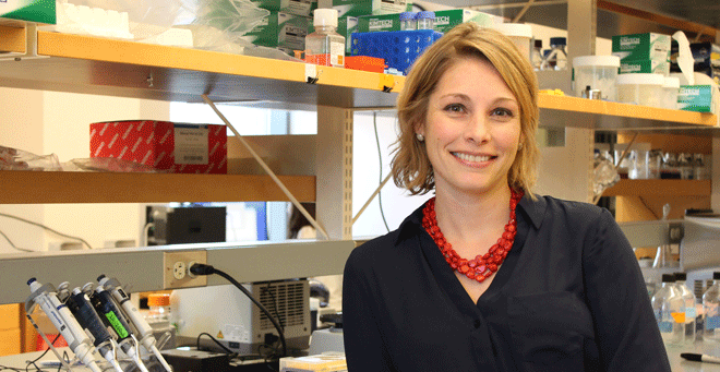 Dorothy P. Schafer, PhD