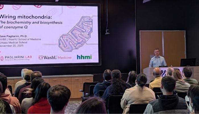 MetNet Pagliarini seminar talk