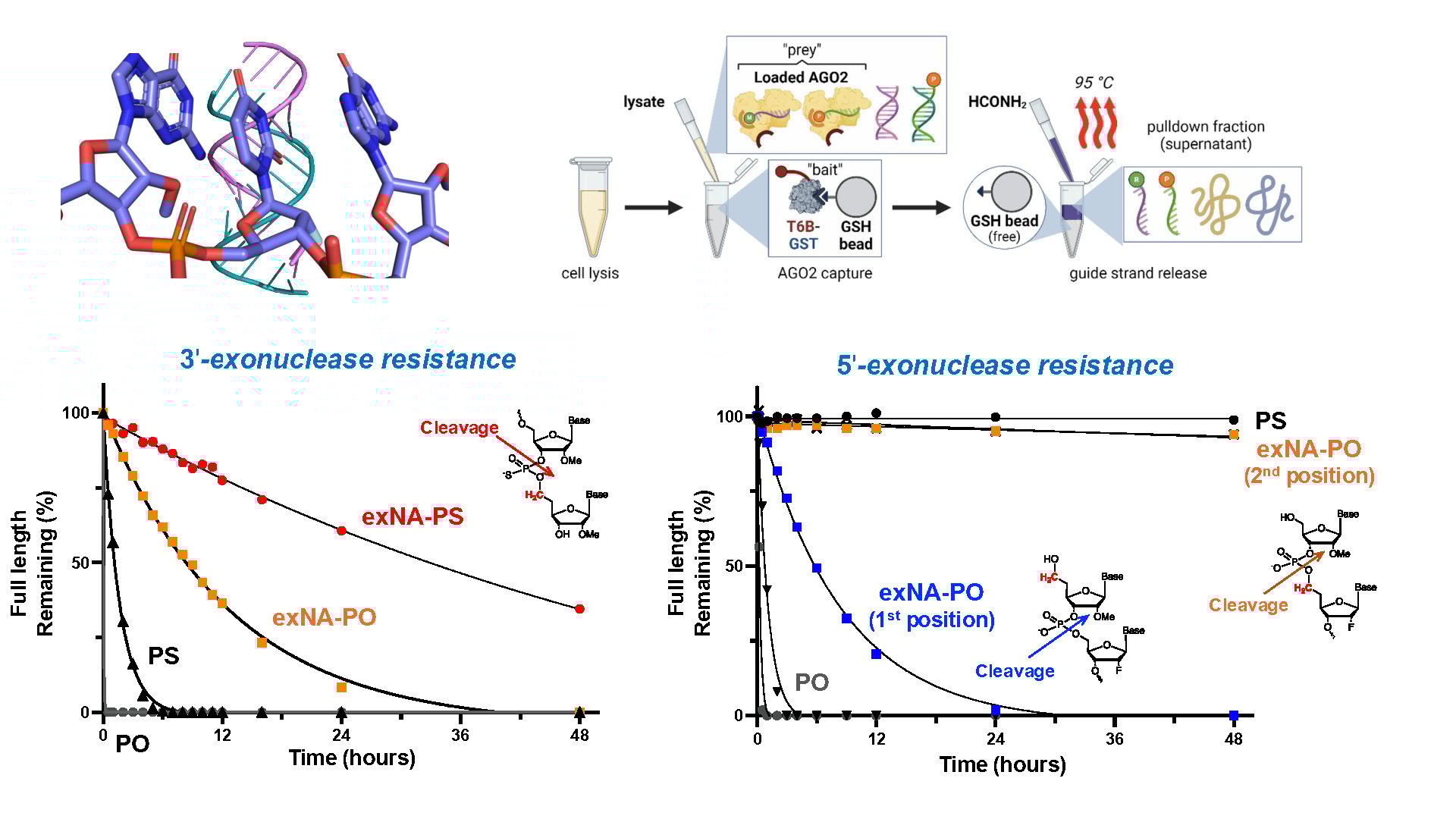 Overview graphic for basic research