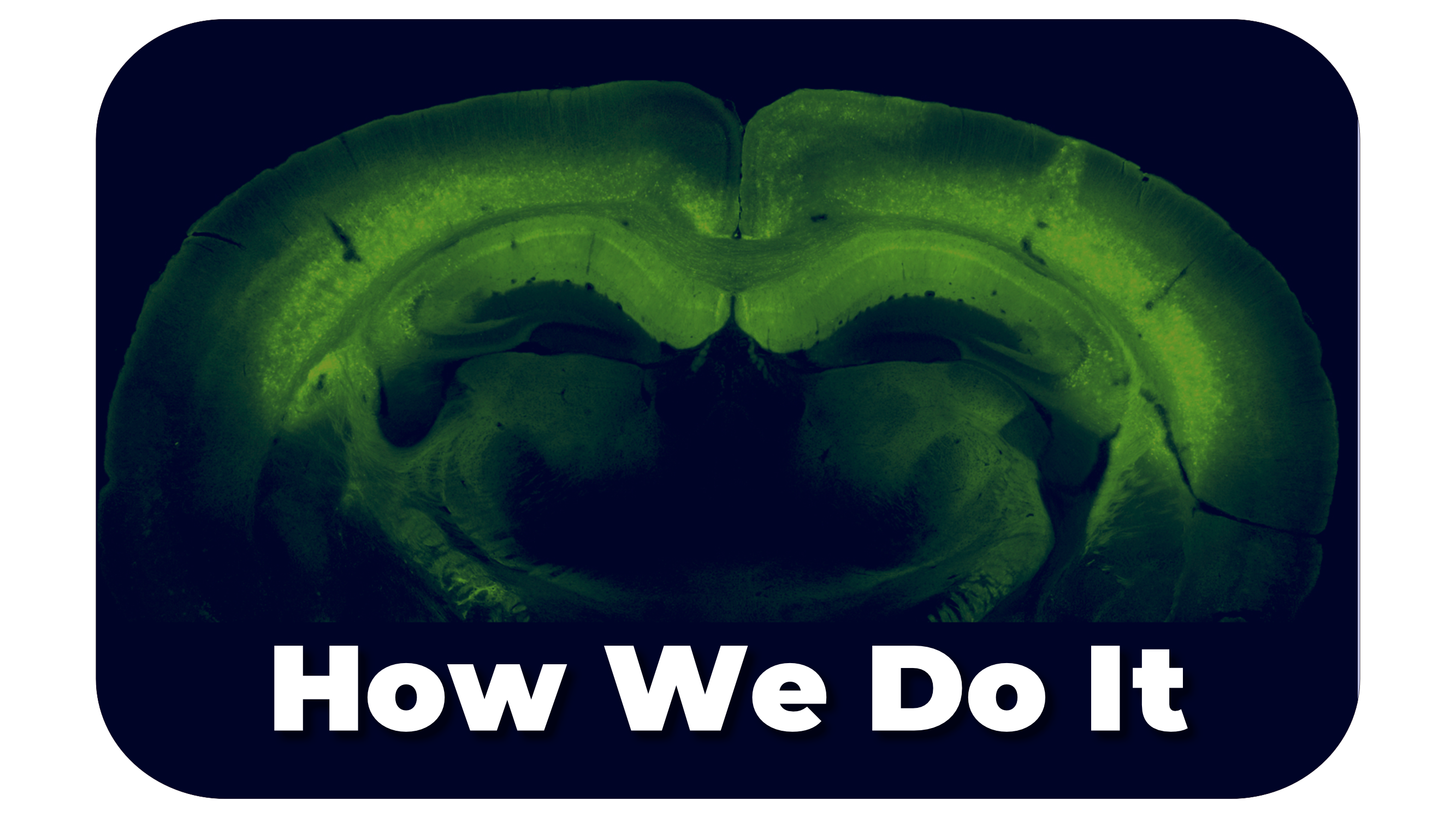  how we do it_zxu.png