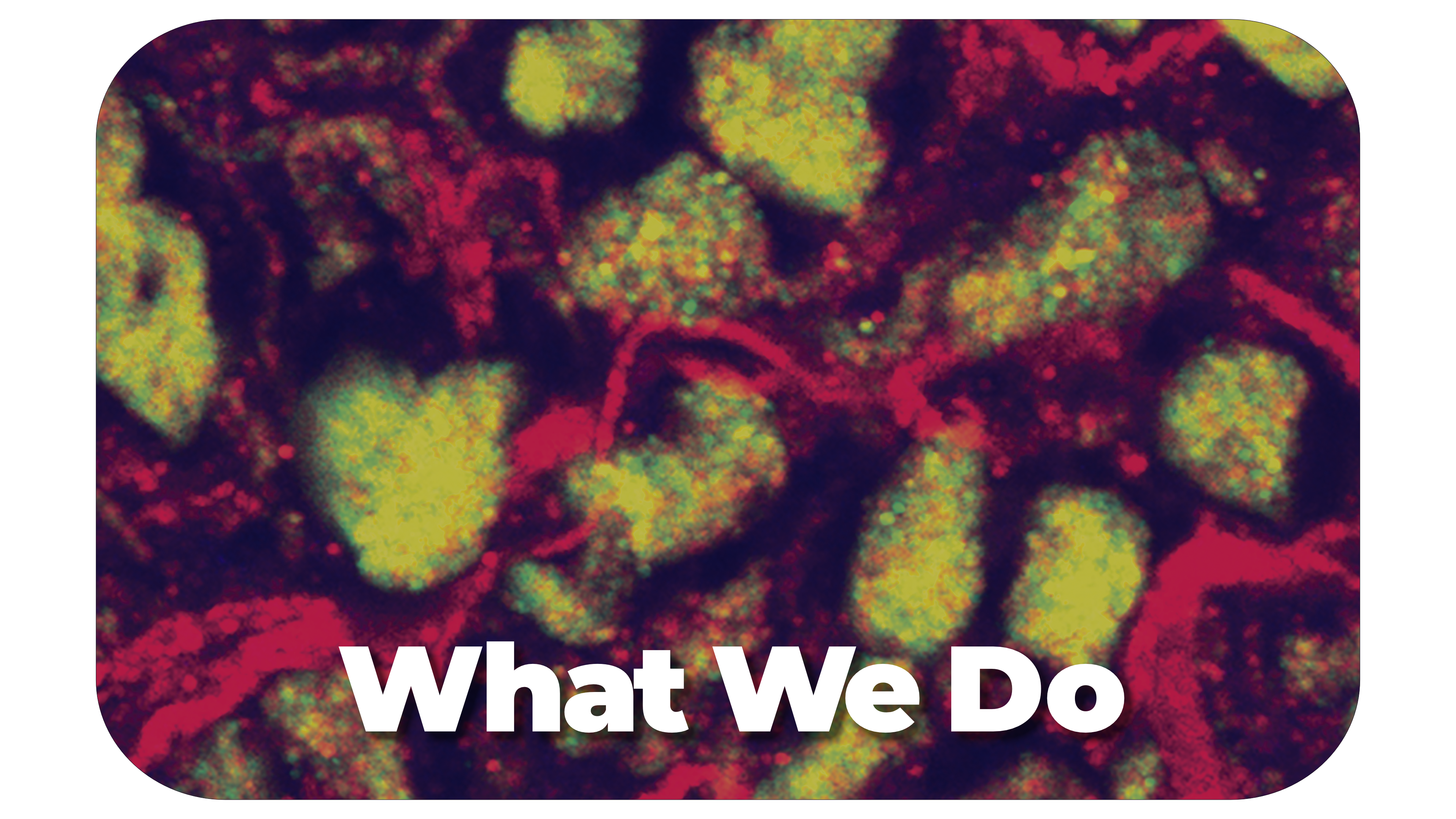  What We Do_zXu DRAFT.png