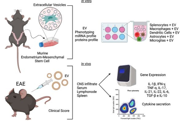image reflects lab research through in-vitro methods on animal models
